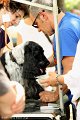 2012-07-01 B & B - Bedlington & Bichon Fun Day (90)_1000x1500